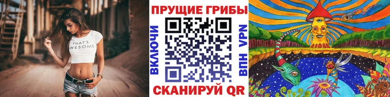 продажа наркотиков  Кудымкар  Галлюциногенные грибы MAGIC MUSHROOMS 
